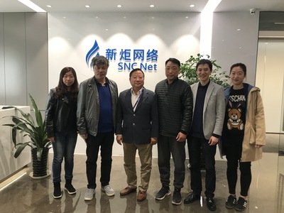 深入解析上海新炬網絡信息技術股份與上海網絡技術服務市場